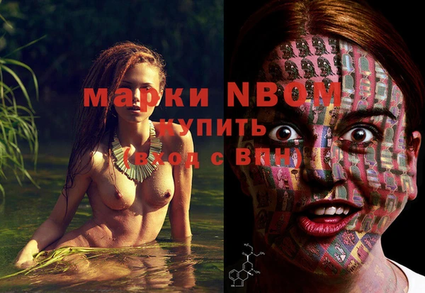 сатива Абаза