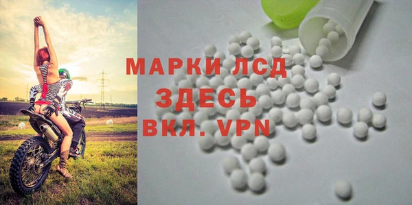 сатива Абаза
