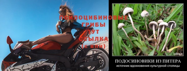 трава Заволжск