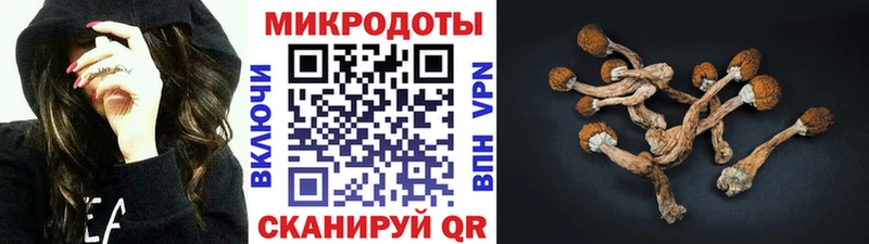Псилоцибиновые грибы Psilocybe Циолковский