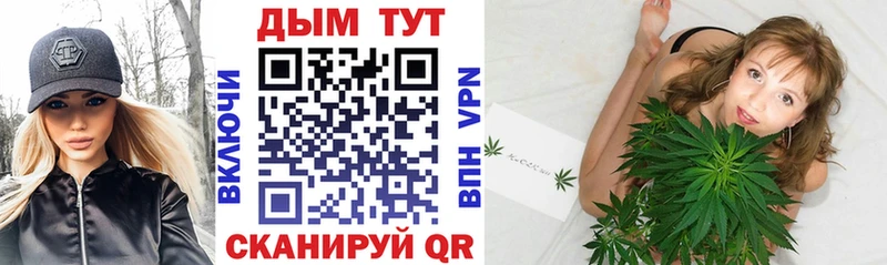 купить наркотики сайты  Циолковский  Бошки марихуана SATIVA & INDICA 